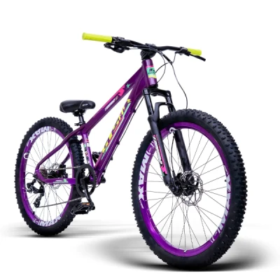 Bicicleta Aro 26 GTSM-1 Freeride New Lite T.13, Shimano 7 velocidades, Freio Disco Hidráulico GTS - Roxo