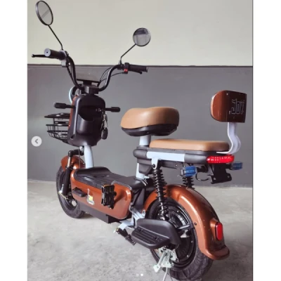 Scooter Elétrica E-Bike Joy Urban; Bateria de Chumbo 48v 12ah 500w, Painel Digital, Farol Led, Buzina, Alarme, Freio Disco - Marrom