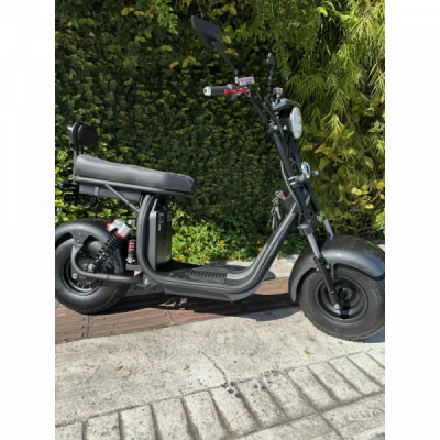 Scooter Goo-Eletrics X-10 1000w C/ Bat. Litio Removivel; 12AH, 60V, Painel Digital, Farol Led, Buzina, Alarme, Freio Disco - Preto com Vermelho