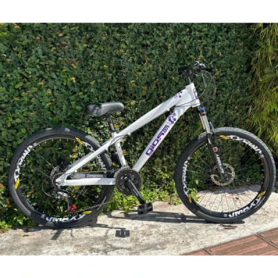 Bicicleta Alumínio Aro 26 Gios BR FRX-Evo T.13, cambio x-time 24 velocidades, Freio a Disco Hidráulico GTA, Suspensão Absolute com trava, Selim DDK - Branco c/ Roxo