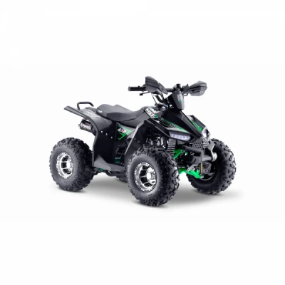 Quadriciclo MXF Brave 110cc, Partida Eletrica, Motor 4 Tempos, Gasolina - Preto Com Verde