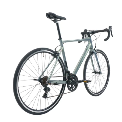 Bicicleta Alumínio Aro 700 TSW TR30 Shimano Tourney 2x7 Velocidades, 54 cm - Verde